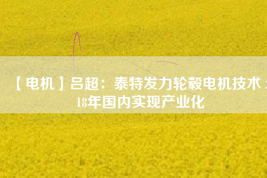 【電機】呂超：泰特發(fā)力輪轂電機技術(shù) 2018年國內(nèi)實現(xiàn)產(chǎn)業(yè)化 - TECO東元電機 | 變頻器·伺服電機·減速機·電機解決方案