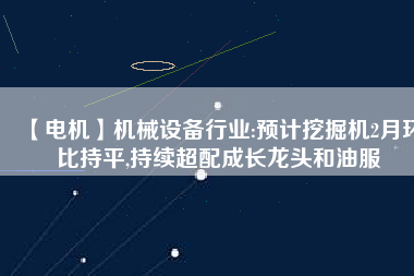 【電機(jī)】機(jī)械設(shè)備行業(yè):預(yù)計(jì)挖掘機(jī)2月環(huán)比持平,持續(xù)超配成長(zhǎng)龍頭和油服 - TECO東元電機(jī) | 變頻器·伺服電機(jī)·減速機(jī)·電機(jī)解決方案