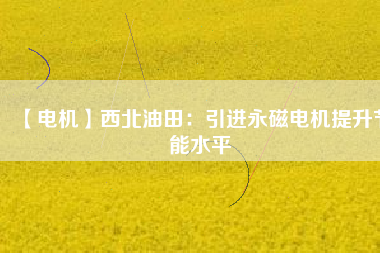 【電機】西北油田:引進(jìn)永磁電機提升節(jié)能水平 - TECO東元電機 | 變頻器·伺服電機·減速機·電機解決方案