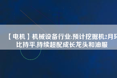 【電機(jī)】機(jī)械設(shè)備行業(yè):預(yù)計(jì)挖掘機(jī)2月環(huán)比持平,持續(xù)超配成長(zhǎng)龍頭和油服 - TECO東元電機(jī) | 變頻器·伺服電機(jī)·減速機(jī)·電機(jī)解決方案