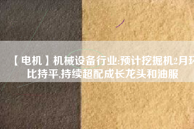 【電機(jī)】機(jī)械設(shè)備行業(yè):預(yù)計(jì)挖掘機(jī)2月環(huán)比持平,持續(xù)超配成長(zhǎng)龍頭和油服 - TECO東元電機(jī) | 變頻器·伺服電機(jī)·減速機(jī)·電機(jī)解決方案