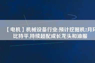 【電機(jī)】機(jī)械設(shè)備行業(yè):預(yù)計(jì)挖掘機(jī)2月環(huán)比持平,持續(xù)超配成長(zhǎng)龍頭和油服 - TECO東元電機(jī) | 變頻器·伺服電機(jī)·減速機(jī)·電機(jī)解決方案
