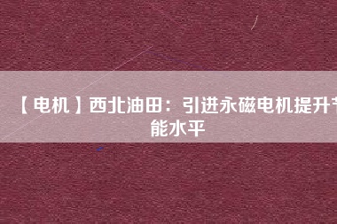 【電機】西北油田:引進(jìn)永磁電機提升節(jié)能水平 - TECO東元電機 | 變頻器·伺服電機·減速機·電機解決方案