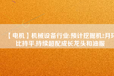【電機(jī)】機(jī)械設(shè)備行業(yè):預(yù)計(jì)挖掘機(jī)2月環(huán)比持平,持續(xù)超配成長(zhǎng)龍頭和油服 - TECO東元電機(jī) | 變頻器·伺服電機(jī)·減速機(jī)·電機(jī)解決方案