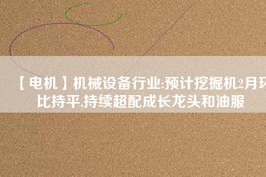 【電機(jī)】機(jī)械設(shè)備行業(yè):預(yù)計(jì)挖掘機(jī)2月環(huán)比持平,持續(xù)超配成長(zhǎng)龍頭和油服 - TECO東元電機(jī) | 變頻器·伺服電機(jī)·減速機(jī)·電機(jī)解決方案