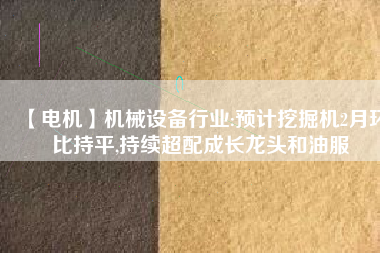 【電機(jī)】機(jī)械設(shè)備行業(yè):預(yù)計(jì)挖掘機(jī)2月環(huán)比持平,持續(xù)超配成長(zhǎng)龍頭和油服 - TECO東元電機(jī) | 變頻器·伺服電機(jī)·減速機(jī)·電機(jī)解決方案