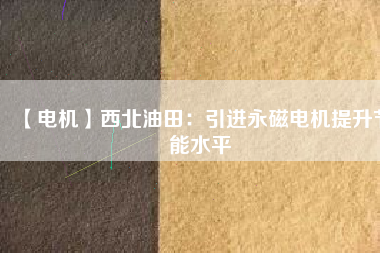 【電機】西北油田:引進(jìn)永磁電機提升節(jié)能水平 - TECO東元電機 | 變頻器·伺服電機·減速機·電機解決方案