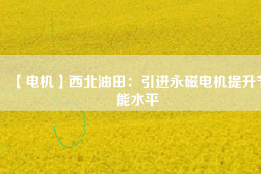 【電機】西北油田:引進(jìn)永磁電機提升節(jié)能水平 - TECO東元電機 | 變頻器·伺服電機·減速機·電機解決方案