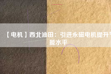 【電機】西北油田:引進(jìn)永磁電機提升節(jié)能水平 - TECO東元電機 | 變頻器·伺服電機·減速機·電機解決方案
