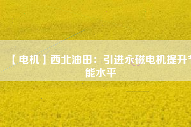 【電機】西北油田:引進(jìn)永磁電機提升節(jié)能水平 - TECO東元電機 | 變頻器·伺服電機·減速機·電機解決方案