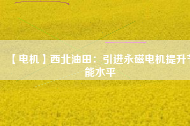 【電機】西北油田:引進(jìn)永磁電機提升節(jié)能水平 - TECO東元電機 | 變頻器·伺服電機·減速機·電機解決方案