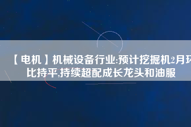 【電機(jī)】機(jī)械設(shè)備行業(yè):預(yù)計(jì)挖掘機(jī)2月環(huán)比持平,持續(xù)超配成長(zhǎng)龍頭和油服 - TECO東元電機(jī) | 變頻器·伺服電機(jī)·減速機(jī)·電機(jī)解決方案