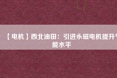 【電機】西北油田:引進(jìn)永磁電機提升節(jié)能水平 - TECO東元電機 | 變頻器·伺服電機·減速機·電機解決方案