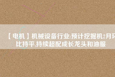 【電機(jī)】機(jī)械設(shè)備行業(yè):預(yù)計(jì)挖掘機(jī)2月環(huán)比持平,持續(xù)超配成長(zhǎng)龍頭和油服 - TECO東元電機(jī) | 變頻器·伺服電機(jī)·減速機(jī)·電機(jī)解決方案