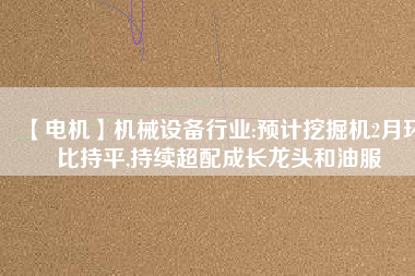 【電機(jī)】機(jī)械設(shè)備行業(yè):預(yù)計(jì)挖掘機(jī)2月環(huán)比持平,持續(xù)超配成長(zhǎng)龍頭和油服 - TECO東元電機(jī) | 變頻器·伺服電機(jī)·減速機(jī)·電機(jī)解決方案
