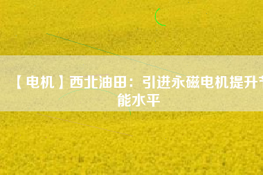 【電機】西北油田:引進(jìn)永磁電機提升節(jié)能水平 - TECO東元電機 | 變頻器·伺服電機·減速機·電機解決方案