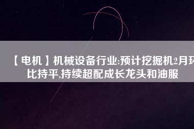 【電機(jī)】機(jī)械設(shè)備行業(yè):預(yù)計(jì)挖掘機(jī)2月環(huán)比持平,持續(xù)超配成長(zhǎng)龍頭和油服 - TECO東元電機(jī) | 變頻器·伺服電機(jī)·減速機(jī)·電機(jī)解決方案