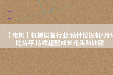 【電機(jī)】機(jī)械設(shè)備行業(yè):預(yù)計(jì)挖掘機(jī)2月環(huán)比持平,持續(xù)超配成長(zhǎng)龍頭和油服 - TECO東元電機(jī) | 變頻器·伺服電機(jī)·減速機(jī)·電機(jī)解決方案