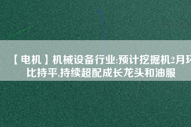 【電機(jī)】機(jī)械設(shè)備行業(yè):預(yù)計(jì)挖掘機(jī)2月環(huán)比持平,持續(xù)超配成長(zhǎng)龍頭和油服 - TECO東元電機(jī) | 變頻器·伺服電機(jī)·減速機(jī)·電機(jī)解決方案
