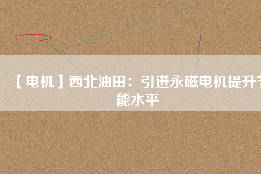 【電機】西北油田:引進(jìn)永磁電機提升節(jié)能水平 - TECO東元電機 | 變頻器·伺服電機·減速機·電機解決方案
