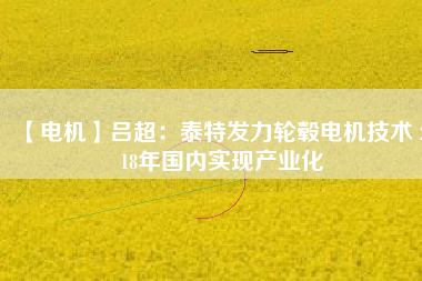 【電機】呂超：泰特發(fā)力輪轂電機技術(shù) 2018年國內(nèi)實現(xiàn)產(chǎn)業(yè)化 - TECO東元電機 | 變頻器·伺服電機·減速機·電機解決方案