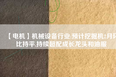 【電機(jī)】機(jī)械設(shè)備行業(yè):預(yù)計(jì)挖掘機(jī)2月環(huán)比持平,持續(xù)超配成長(zhǎng)龍頭和油服 - TECO東元電機(jī) | 變頻器·伺服電機(jī)·減速機(jī)·電機(jī)解決方案