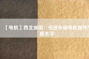 【電機】西北油田:引進(jìn)永磁電機提升節(jié)能水平 - TECO東元電機 | 變頻器·伺服電機·減速機·電機解決方案