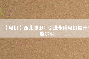 【電機】西北油田:引進(jìn)永磁電機提升節(jié)能水平 - TECO東元電機 | 變頻器·伺服電機·減速機·電機解決方案