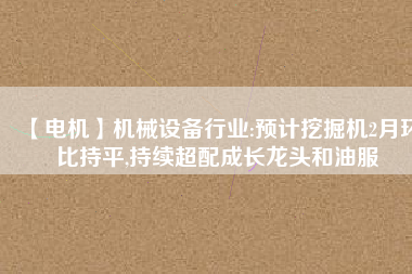 【電機(jī)】機(jī)械設(shè)備行業(yè):預(yù)計(jì)挖掘機(jī)2月環(huán)比持平,持續(xù)超配成長(zhǎng)龍頭和油服 - TECO東元電機(jī) | 變頻器·伺服電機(jī)·減速機(jī)·電機(jī)解決方案