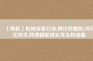 【電機(jī)】機(jī)械設(shè)備行業(yè):預(yù)計(jì)挖掘機(jī)2月環(huán)比持平,持續(xù)超配成長(zhǎng)龍頭和油服 - TECO東元電機(jī) | 變頻器·伺服電機(jī)·減速機(jī)·電機(jī)解決方案