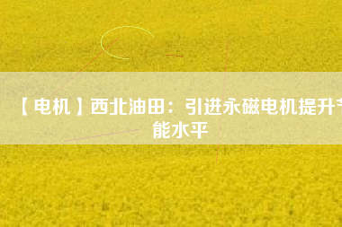 【電機】西北油田:引進(jìn)永磁電機提升節(jié)能水平 - TECO東元電機 | 變頻器·伺服電機·減速機·電機解決方案