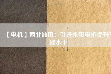 【電機】西北油田:引進(jìn)永磁電機提升節(jié)能水平 - TECO東元電機 | 變頻器·伺服電機·減速機·電機解決方案