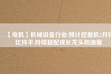 【電機(jī)】機(jī)械設(shè)備行業(yè):預(yù)計(jì)挖掘機(jī)2月環(huán)比持平,持續(xù)超配成長(zhǎng)龍頭和油服 - TECO東元電機(jī) | 變頻器·伺服電機(jī)·減速機(jī)·電機(jī)解決方案