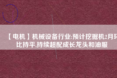 【電機(jī)】機(jī)械設(shè)備行業(yè):預(yù)計(jì)挖掘機(jī)2月環(huán)比持平,持續(xù)超配成長(zhǎng)龍頭和油服 - TECO東元電機(jī) | 變頻器·伺服電機(jī)·減速機(jī)·電機(jī)解決方案