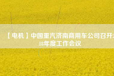 【電機(jī)】中國重汽濟(jì)南商用車公司召開2018年度工作會(huì)議 - TECO東元電機(jī) | 變頻器·伺服電機(jī)·減速機(jī)·電機(jī)解決方案