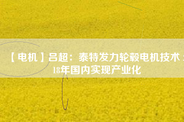 【電機】呂超：泰特發(fā)力輪轂電機技術(shù) 2018年國內(nèi)實現(xiàn)產(chǎn)業(yè)化 - TECO東元電機 | 變頻器·伺服電機·減速機·電機解決方案