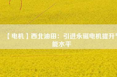 【電機】西北油田:引進(jìn)永磁電機提升節(jié)能水平 - TECO東元電機 | 變頻器·伺服電機·減速機·電機解決方案