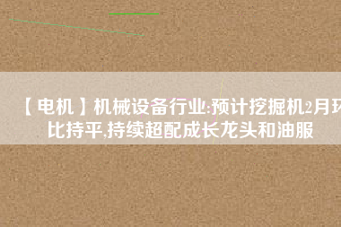 【電機(jī)】機(jī)械設(shè)備行業(yè):預(yù)計(jì)挖掘機(jī)2月環(huán)比持平,持續(xù)超配成長(zhǎng)龍頭和油服 - TECO東元電機(jī) | 變頻器·伺服電機(jī)·減速機(jī)·電機(jī)解決方案