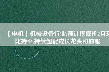 【電機(jī)】機(jī)械設(shè)備行業(yè):預(yù)計(jì)挖掘機(jī)2月環(huán)比持平,持續(xù)超配成長(zhǎng)龍頭和油服 - TECO東元電機(jī) | 變頻器·伺服電機(jī)·減速機(jī)·電機(jī)解決方案