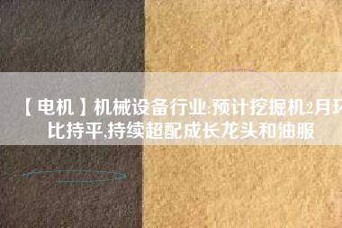 【電機(jī)】機(jī)械設(shè)備行業(yè):預(yù)計(jì)挖掘機(jī)2月環(huán)比持平,持續(xù)超配成長(zhǎng)龍頭和油服 - TECO東元電機(jī) | 變頻器·伺服電機(jī)·減速機(jī)·電機(jī)解決方案
