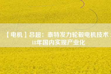 【電機】呂超：泰特發(fā)力輪轂電機技術(shù) 2018年國內(nèi)實現(xiàn)產(chǎn)業(yè)化 - TECO東元電機 | 變頻器·伺服電機·減速機·電機解決方案
